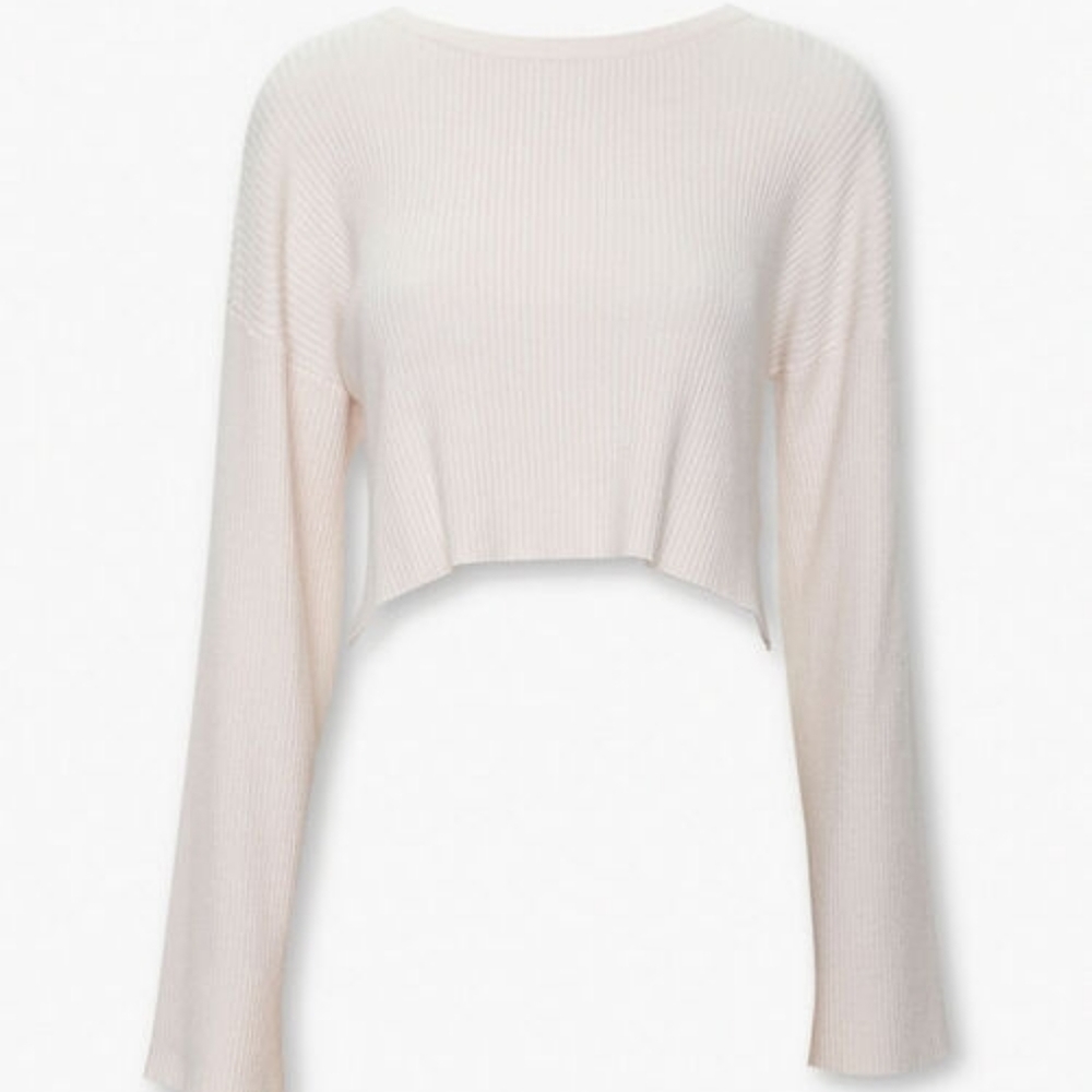 Forever 21 Cropped sweater